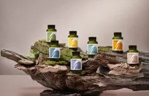 the herbtender jars group shot
