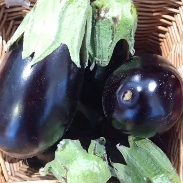 BRITISH ORGANIC PRODUCE...Now is a great time for lovely British Organic Aubergines, Leeks and Isle of Wight Tomatoes.  What's your favourite?
Back to normal hours after our Easter break Tues-Sat 9am-4pm
We look forward to seeing you!
.
.
.
.
#organicallyspeaking #organicfruit #organicveg #organicshop #organicshophampshire #hartleywintney #shoplocal #buybritish #supportsmall #supportorganic